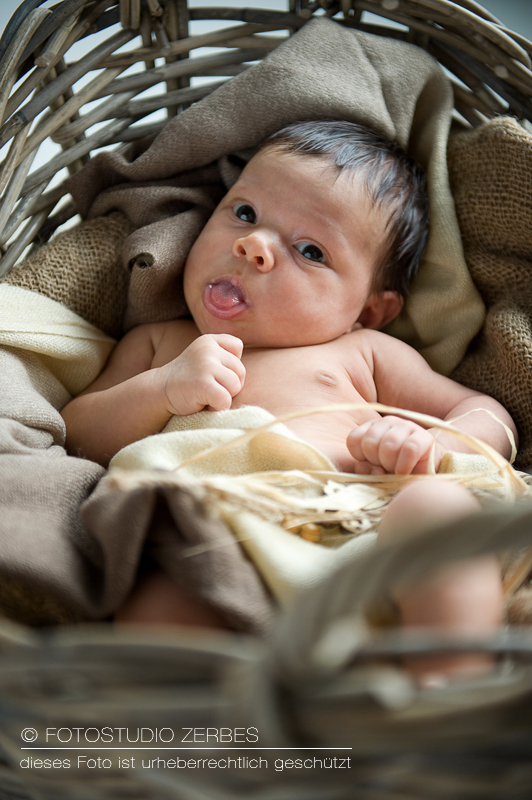 Baby-Fotoshooting Köln, Fotos von Babies und Neugeborenen